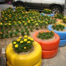 망우3동주민자치위원회 이미지