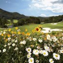 파인밸리 컨트리클럽 이미지