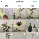 아산가드닝
