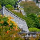 충렬사역 3번출구 이미지