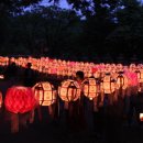 만사목장 이미지