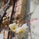 부평둘레길 이미지