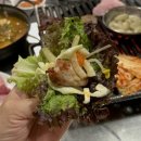 고릴라과천 네이버블로그