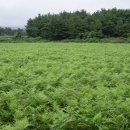 상예동-8 이미지