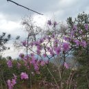 가평청평청평-1 이미지