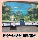안산 어촌민속전시관 | 탄도항에 위치한 안산 어촌민속박물관 실내 아이와 방문 후기