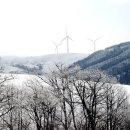 삼양목장 이미지