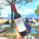 롯데마트 가성비 레드 와인 추천 펜폴즈 쿠능가힐 카베르네 소비뇽 2019 후기 (Penfolds Koonunga Hill...