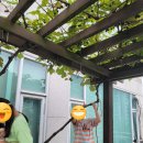 정현농장 이미지