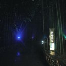 대숲사이 이미지