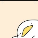 삼백스파 이미지