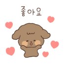 홍중화요리