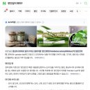 구구구토스트앤까페 | 2일차🍸| 더풀러턴호텔 조식 보타닉가든 오키드가든 스위리 벵가완솔로 야쿤토스트 지거앤포니 칵테일바