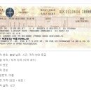 룩스여행사