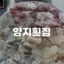 부산 당감동 현지인 추천 찐맛집 당감시장 양지횟집 내돈내산 후기