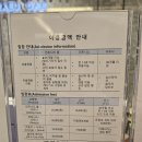빌리브 패러그라프 인피니티풀 | [부산 우동] 해운대 오션뷰 인피니티풀 실내수영장 '빌리브패러그라프' 실내데이트 가볼만한곳 추천