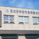양산시직업재활센터 이미지