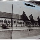 팔금초등학교 이미지