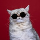 모든자동차정비공장 이미지