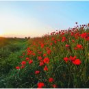 좋은꿈한의원 이미지