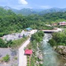 백운 티스토리