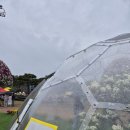 함평나비(광주) | 함평 나비대축제 후기｜입장료·쿠폰·전시까지 가족여행 추천 코스