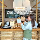 영종농장 | 구읍뱃터 자연도소금빵 사장님이 운영하는 두번째 빵집 달임빵 호밀 깜빠뉴 내돈내산 후기 + 주차 가격