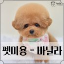 보성애견 이미지