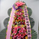 웨딩파티엘