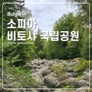 우산공원길 | 비토샤 국립공원 불가리아 여행 가볼만한곳 입장료 후기