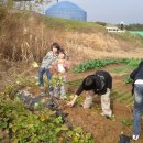 평강농장 이미지