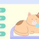 장호원동물병원