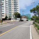 유림-1156 이미지