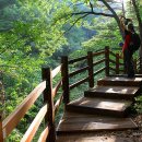 울진군온정면선구보건진료소 이미지