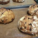 화이트사 이미지