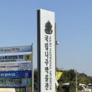 도란도란 책놀이(7세) | 전남 나주 광주 근교 아이랑 가볼만한곳 국립나주박물관 유아놀이터 예약부터 후기까지