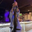 얼빵실내 낚시터 이미지