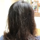 우리가족헤어 이미지