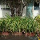 미애농장 이미지