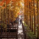 전라도 가볼만한곳 베스트10 이미지