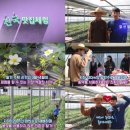 김선철 농장 이미지