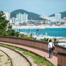 달맞이길62번길 13 이미지