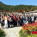 힐링 여행 이미지