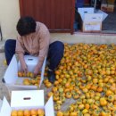 정호진농장 이미지