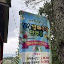 대지목장 | 남해 가볼만한곳 상상양떼목장 편백숲 아기랑 주말 방문 후기 입장료 주차장 양 토끼 먹이주기 체험