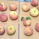 금봉 농장 이미지