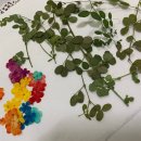 풀빛향기 이미지