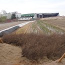 이화봉농장 이미지