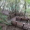 제주 돈내코