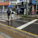 수원-0224 이미지